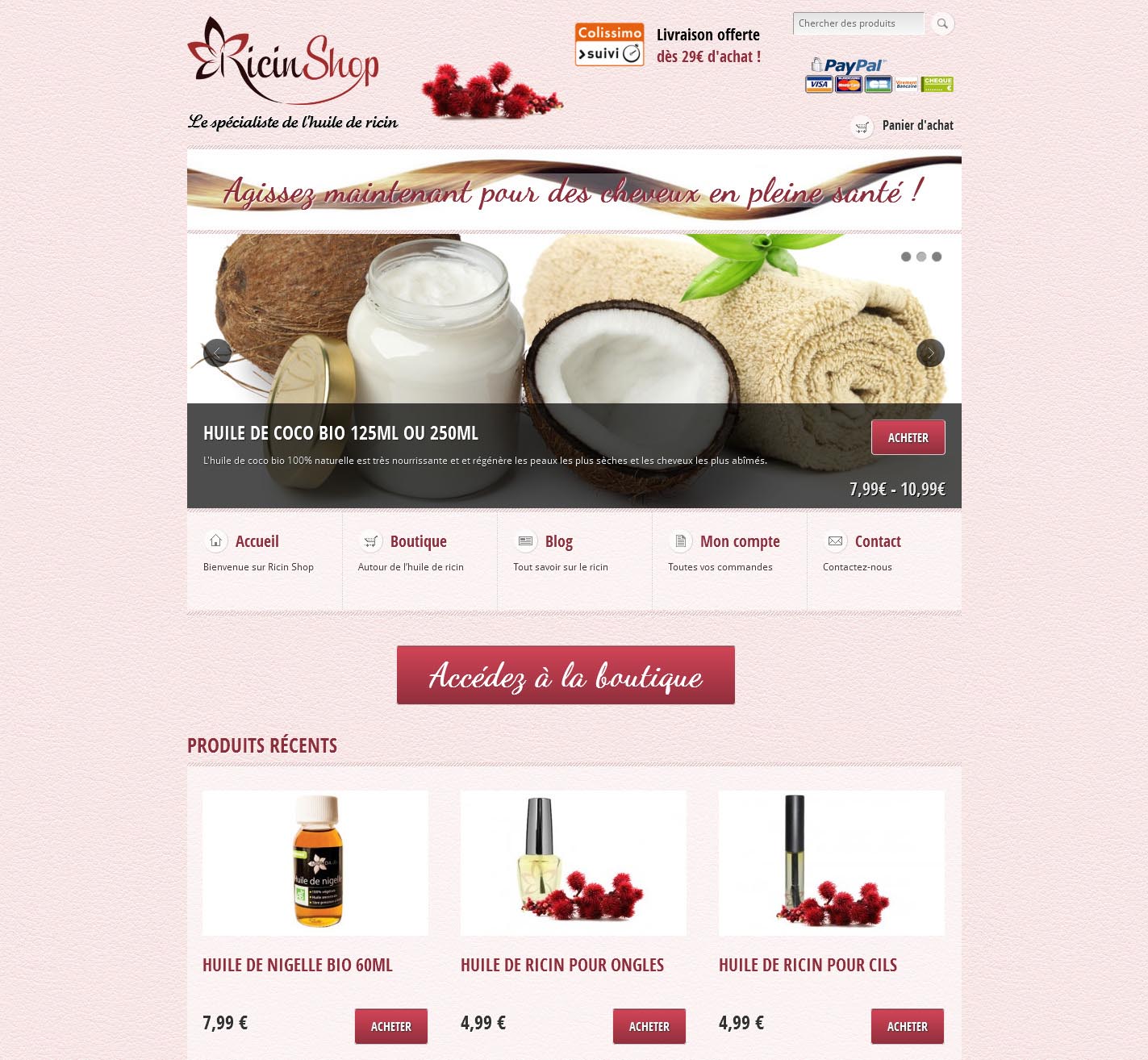 Aperçu du site RicinShop.com