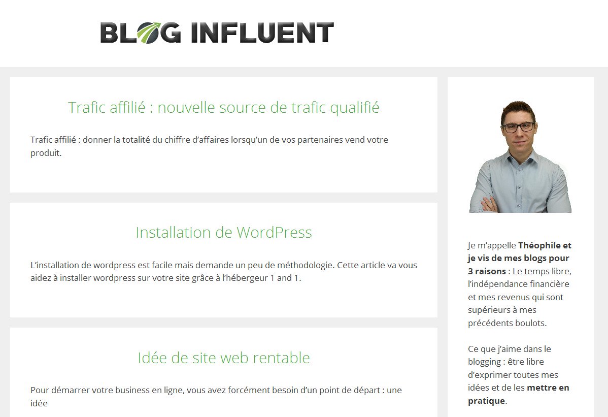 Aperçu du site Bloginfluent.fr