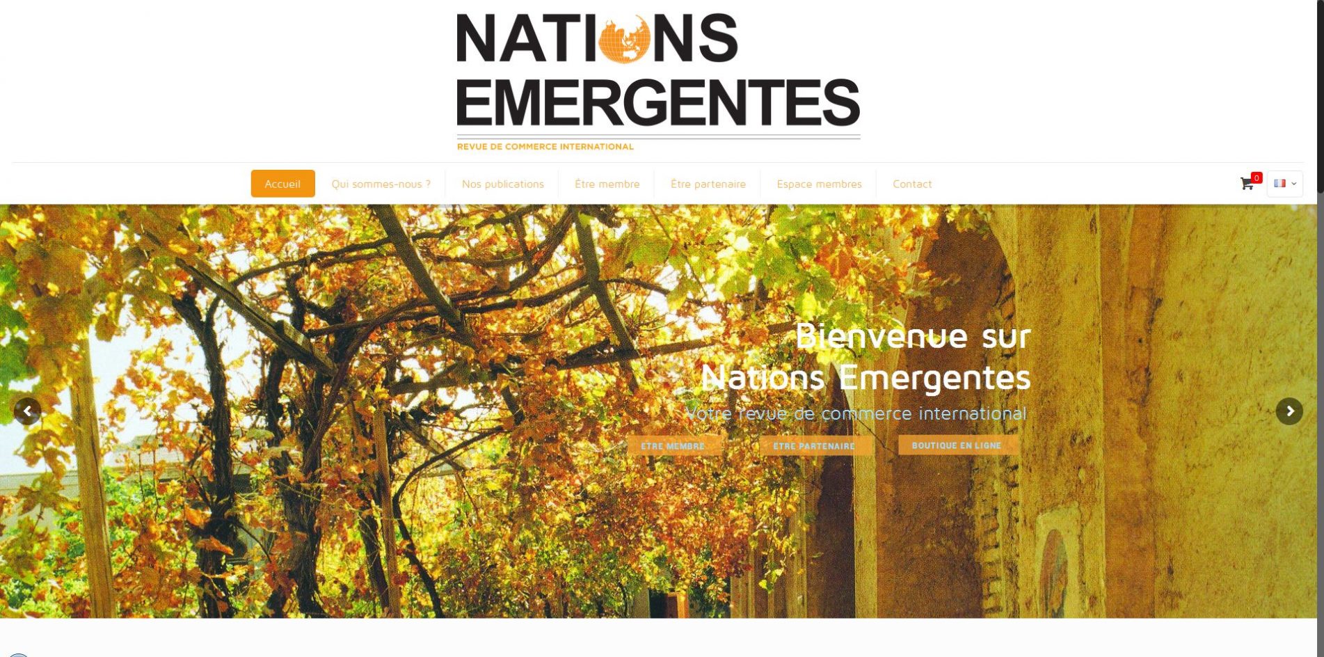 Aperçu du site Nations-Emergentes.org