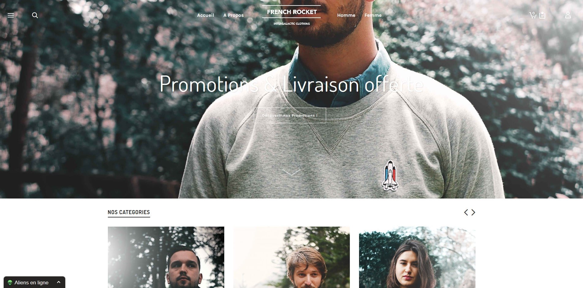 Aperçu du site Frenchrocket.fr