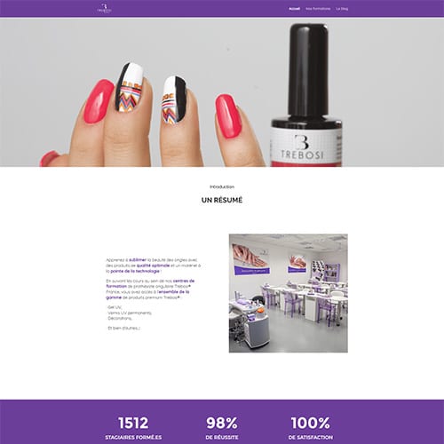 Aperçu du site formations-trebosi.com