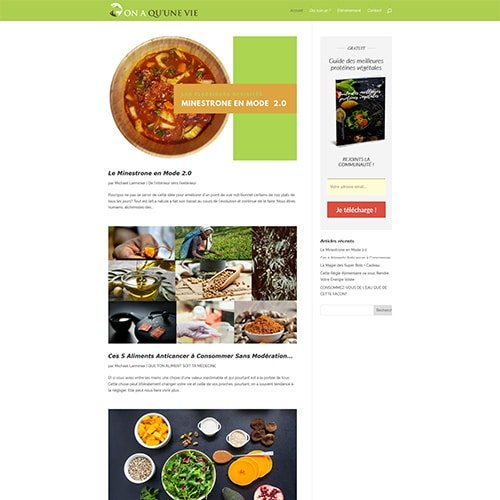 Aperçu du site onaqunevie.com