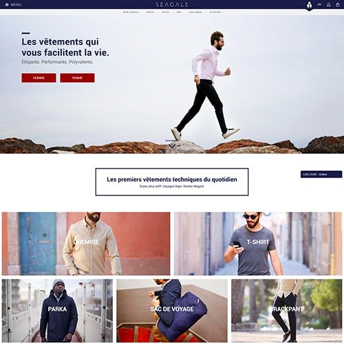 Aperçu du site seagale.fr
