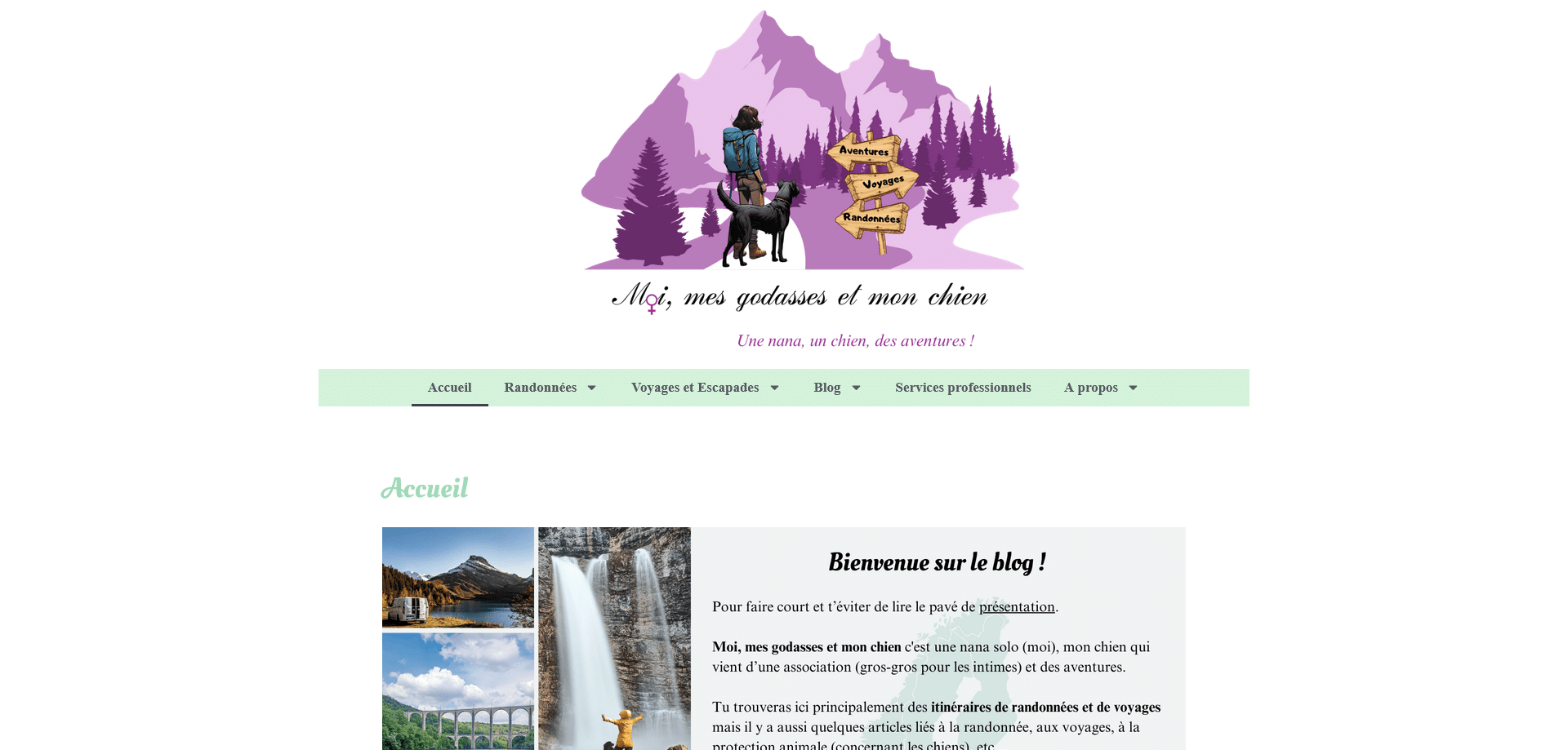 Aperçu du site moimesgodassesetmonchien.com