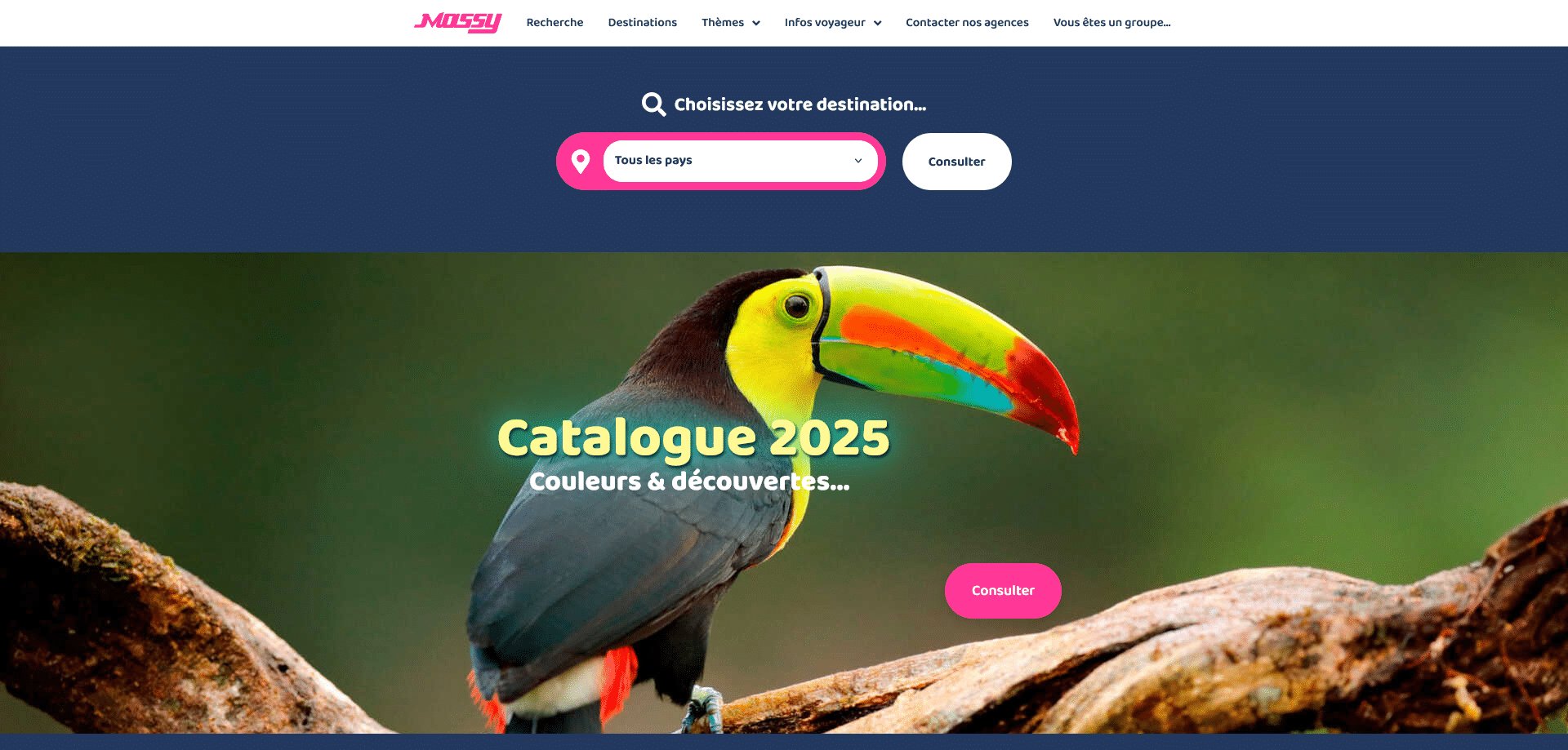 Aperçu du site massy-voyage.com