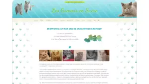 Client chat-british-des-gummis.fr
